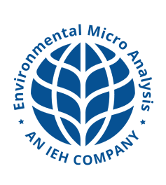 Institute for Environmental Health, Inc.