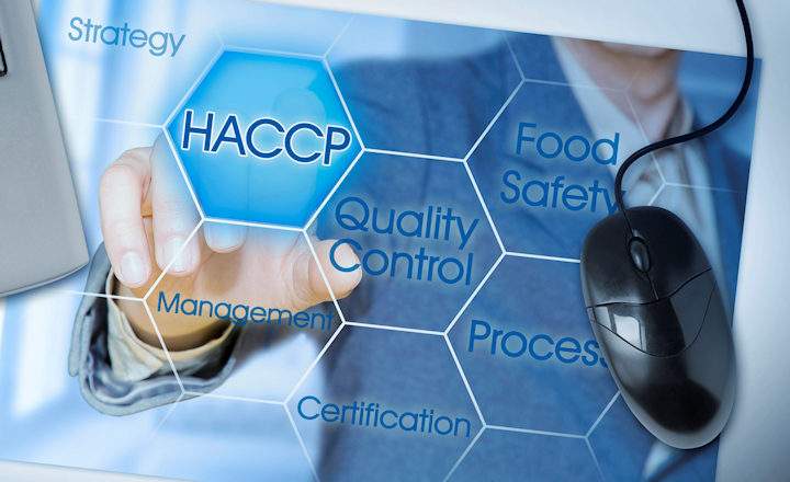 An abstract digital illustration featuring a person in a grey suit interacting with a glowing blue hexagonal interface. One hand is shown pointing toward a prominent hexagon labeled HACCP. Surrounding it are other connected hexagons containing text such as Quality Control, Food Safety, Management, Process, Strategy, and Certification. To the right, a black computer mouse with a cord sits on the surface, blending the digital concept with physical office tools. The overall color palette is a mix of bright whites and various shades of cool blue, creating a high-tech, professional atmosphere focused on food safety systems.