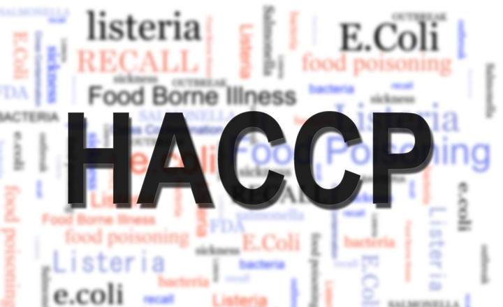 A word cloud focused on food safety, with the acronym HACCP (Hazard Analysis and Critical Control Points) appearing in large, bold black letters in the center. The background consists of various terms in different sizes, colors (red, blue, and black), and orientations. Frequent words include "Listeria," "E. Coli," "Food Poisoning," "Recall," "Salmonella," and "Food Borne Illness." Most of the background text is slightly blurred, making the central "HACCP" stand out as the primary focus.
