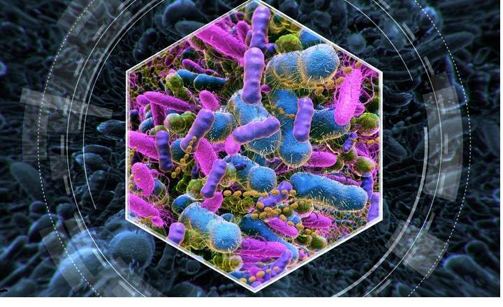 Intestinal bacteria detection,Different germs in the human intestines called microbiome,Bacteria Lactobacillus in human intestine,Beneficial healthy intestinal bacterium microflora,Gut bacteria.
