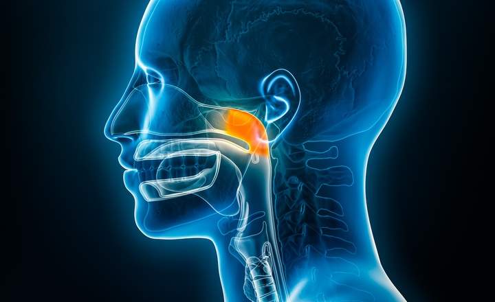 Xray lateral or profile view of the nasopharynx 3D rendering illustration with male body contours. Human anatomy, nasopharyngitis or cold, medical, biology, science, medicine, healthcare concepts.