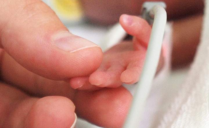 Mother is holding a tiny hand of her preterm baby that is in the NICU.