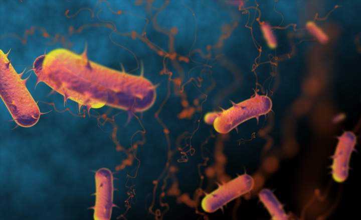 Microscope red blood cells and virus Bacteria, infection 3d rendering, health care, medical and science concept. particle in blood, human body science biology