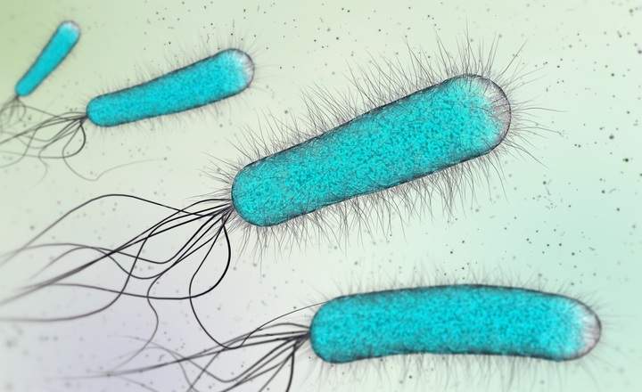 3d illustration of blue bacteria or single cell microorganisms